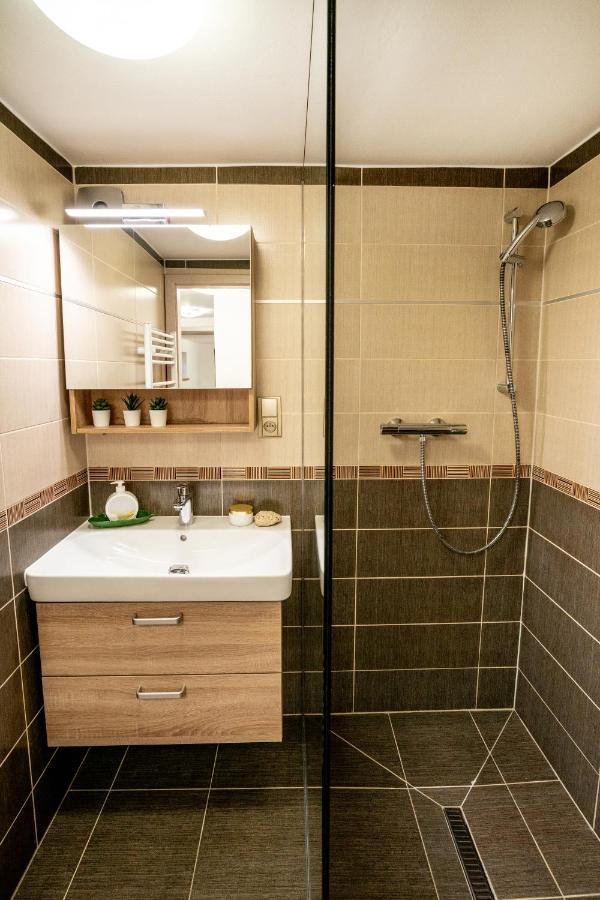 Apartman U Jirika 波杰布拉迪 外观 照片